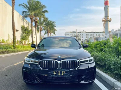 2022 BMW 5 Series 525Li Luxury Package, фото 2, лот 10625799
