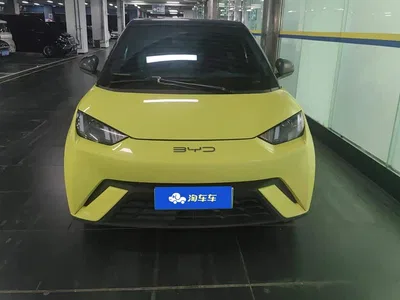 2023 BYD Seagull Vitality Edition, фото 2, лот 10251914