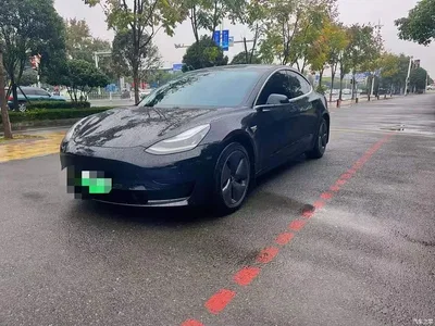 2021 Tesla Model 3 Facelift Standard Range RWD Upgrade 3D1, фото 1, лот 10460401