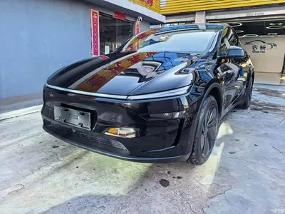 2026 Tesla Model Y Rear-Wheel Drive, фото 1, лот 11217392