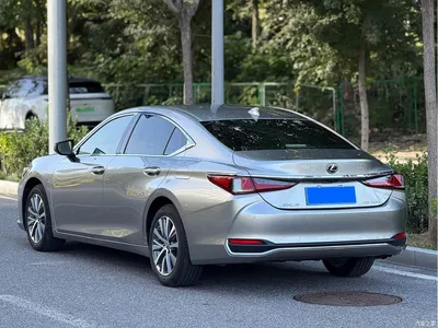 2021 Lexus ES 200 Luxury Edition, фото 4, лот 10316945