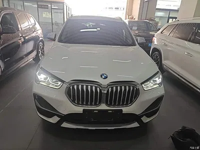 2022 BMW X1 Facelift xDrive25Li Premium Edition, фото 3, лот 10467375