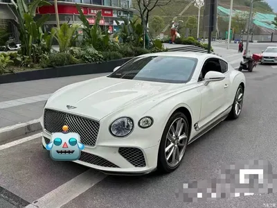 2020 Bentley Continental 4.0T GT V8, фото 2, лот 10244386