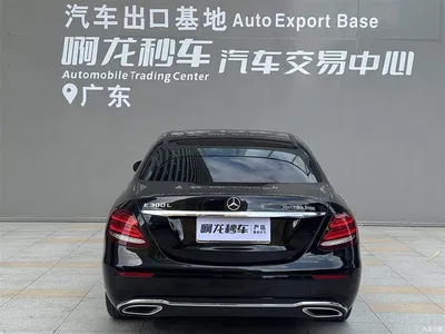 2020 Mercedes-Benz E-Class Facelift E 300 L Exclusive, фото 4, лот 10435120