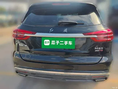2022 Hongqi HS5 Facelift 2.0T Smart Flag Enjoyment Edition, фото 3, лот 10288208