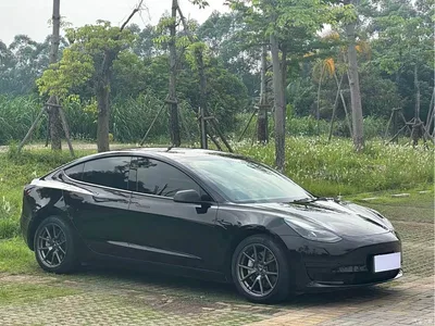 2021 Tesla Model 3 Standard Range Rear-Wheel Drive Upgrade, фото 3, лот 10358787