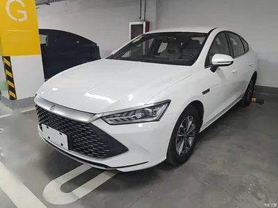 2024 BYD Qin PLUS Glory Edition DM-i 55KM Leading, фото 1, лот 11135765