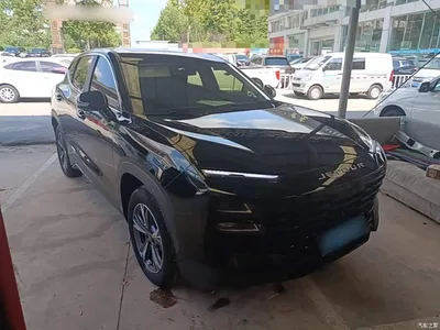 2024 Jetour Dasheng 1.5T DCT Starlight PRO, фото 4, лот 10826871