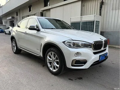 2019 BMW X6 xDrive28i M Sport Package, фото 3, лот 10403508