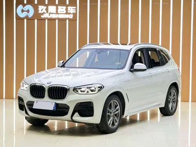 2021 BMW X3 xDrive25i M Sport Package, фото 1, лот 11217225