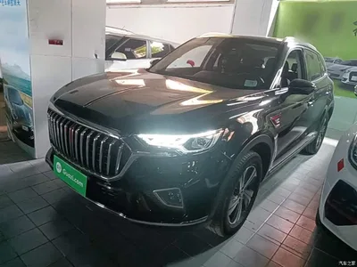 2019 Hongqi HS5 2.0T Smart Connect Enjoy Edition, фото 2, лот 10289452
