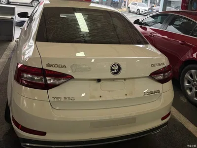 2019 Škoda Octavia TSI230 DSG Luxury Edition, фото 4, лот 11137639