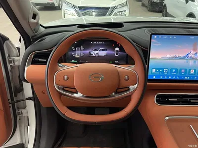 2025 GAC Trumpchi Trumpchi Vision S9 1.5T Hybrid Premium, фото 4, лот 11182921