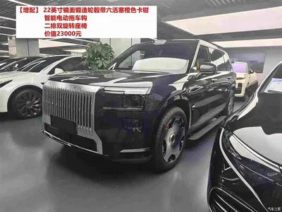 2025 ZEEKR 9X Standard Edition, фото 1, лот 11223488