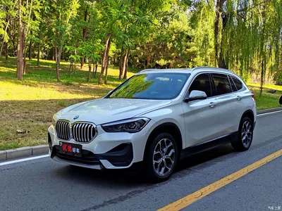 2022 BMW X1 sDrive25Li Leading, фото 1, лот 10401609