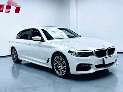 2019 BMW 5 Series 530Li Leading M Sport Package, фото 3, лот 11580307