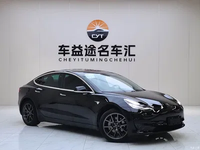2020 Tesla Model 3 Standard Range Rear-Wheel Drive Upgrade, фото 3, лот 10956505