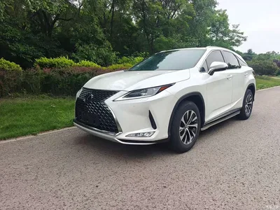 2020 Lexus RX Facelift 300 2WD Comfort Edition, фото 1, лот 10318815