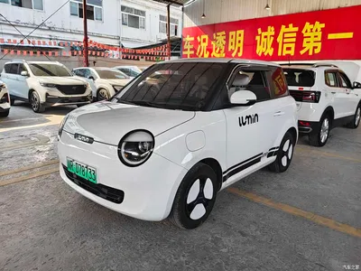 2022 Changan Qiyuan Changan Lumin 301km Honey Sweet, фото 1, лот 10415091