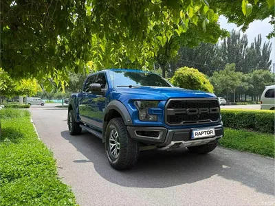 2018 Ford F-150 Raptor 3.5T Raptor Performance Enhanced Edition, фото 3, лот 11534025