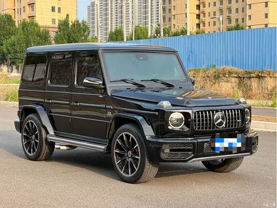 2010 Mercedes-Benz G-Class G 500, фото 3, лот 10280671