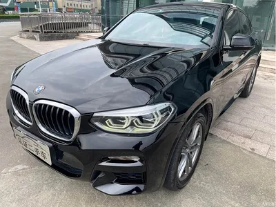 2019 BMW X4 xDrive25i M Sport Package, фото 1, лот 11074400