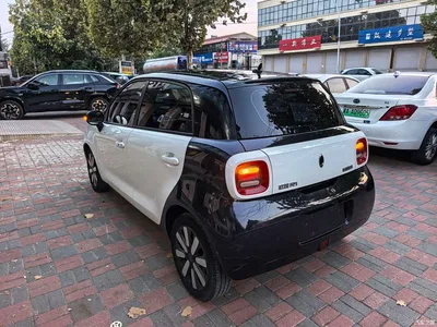 2019 Ora Black Cat 351km Smart Edition, фото 3, лот 10767728