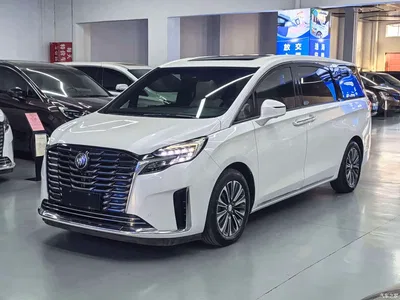 2023 Buick GL8 ES Landmaster Luxury, фото 1, лот 11585651