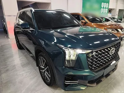 2022 GAC Trumpchi Trumpchi GS8 Pilot Series 2.0TGDI 2WD Premium Edition (7-Seater), фото 4, лот 10837944