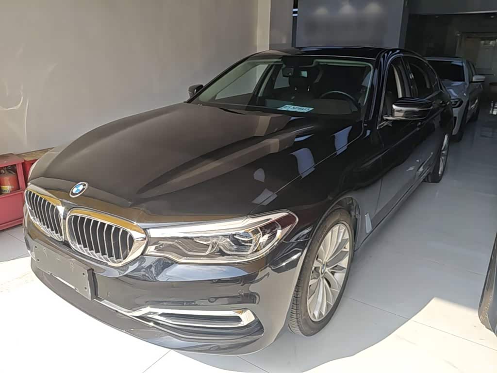 2020 BMW 5 Series 530Li Leading Luxury Package, фото 1, лот 11225887