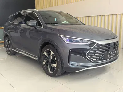 2024 BYD Tang New Energy DM-i Honor Edition 112KM Premium, фото 3, лот 11450940