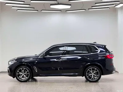 2022 BMW X5 Facelift xDrive 40Li M Sport Package, фото 4, лот 11203475
