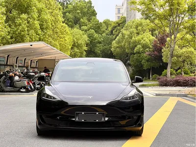 2022 Tesla Model 3 Model Rear-Wheel Drive Version, фото 2, лот 10353972