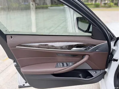2021 BMW 5 Series 525Li Luxury Package, фото 4, лот 11188140