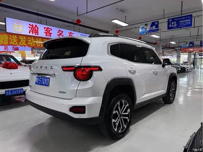 2023 Haval Da Gou 2nd Gen 1.5T 2WD Trend & Wild Edition Plus, фото 4, лот 10416993