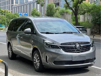 2021 Buick GL8 Land Business Class 652T Luxury, фото 3, лот 10256733