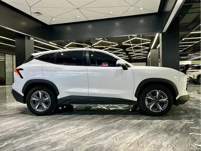 2023 Jetour Dasheng 1.5T DCT Starlight PRO, фото 4, лот 10826982