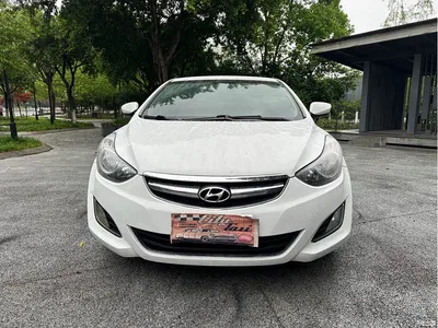 2015 Hyundai Langdong 1.6L Auto Trend, фото 2, лот 10831961