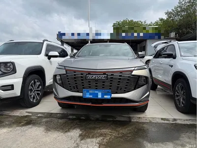 2023 Haval Shenshou 1.5T Smart Enjoy Edition, фото 2, лот 10282479