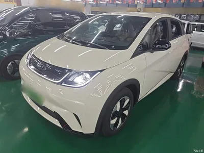 2025 BYD Dolphin 420km Freedom Edition, фото 1, лот 10264533