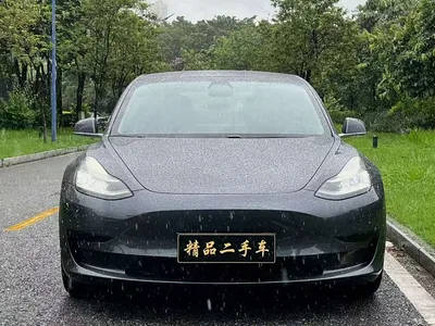 2019 Tesla Model 3 Standard Range Rear-Wheel Drive Upgrade, фото 2, лот 10351568