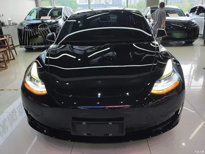 2022 Tesla Model 3 Model Rear-Wheel Drive Version, фото 3, лот 11192642