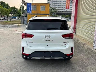 2018 GAC Trumpchi Trumpchi GS4 235T Automatic 2WD Luxury Smart Connect Million Commemorative Edition, фото 4, лот 11095051