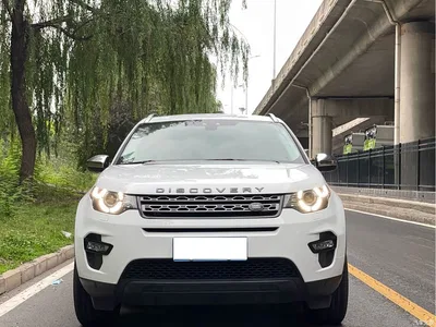 2019 Land Rover Discovery Sport 200PS PURE Edition China V, фото 2, лот 10329661
