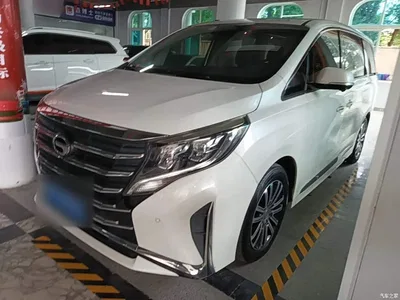 2021 GAC Trumpchi Trumpchi M8 Leading Show Series 390T Ultimate Edition, фото 1, лот 10440093