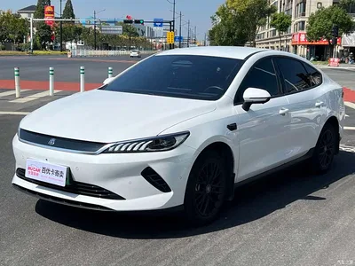 2025 BYD Qin PLUS EV Smart Drive Edition 420KM Leading Type, фото 1, лот 10599293