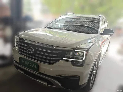 2017 GAC Trumpchi Trumpchi GS8 320T 2WD Luxury Smart Connect (7-seater), фото 1, лот 11266490