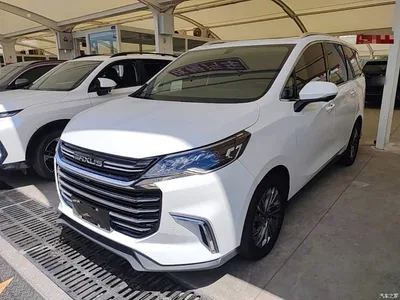 2020 SAIC Maxus Maxus G50 1.5T Auto Luxury, фото 1, лот 11159212