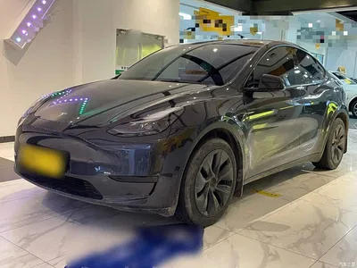 2024 Tesla Model Y Rear-Wheel Drive Version, фото 1, лот 10369644