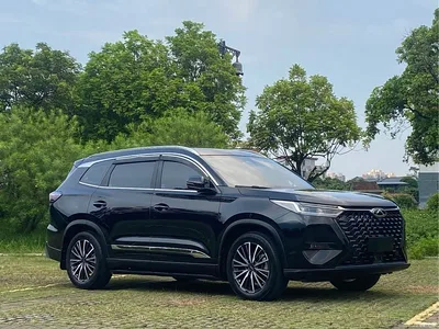 2024 Chery Tiggo 8 PRO Champion Edition 290T 2WD Summit Edition 5-Seater, фото 3, лот 10333783